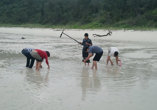 Bắt ngao ở Cô Tô